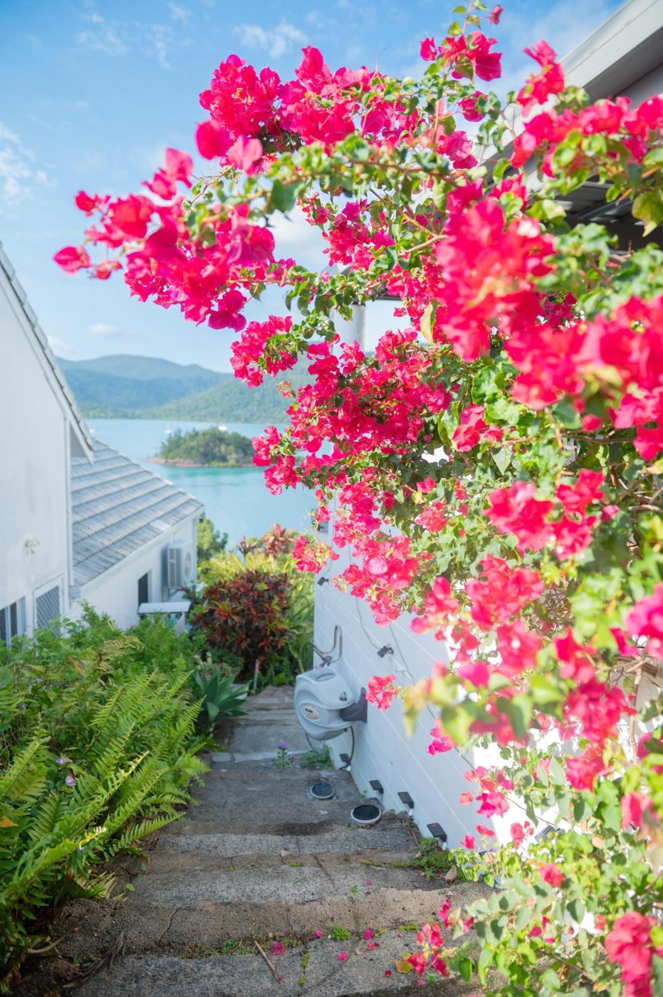 The Haven View - Airlie Beach Eksteriør billede